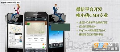 小猪cms9.1源码下载 小猪cms微信营销系统下载v9.1加盟版 乐游网软件下载
