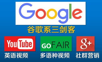 如何利用织梦cms做多语言的网站 阿里巴巴国际站可以卖二手设备吗